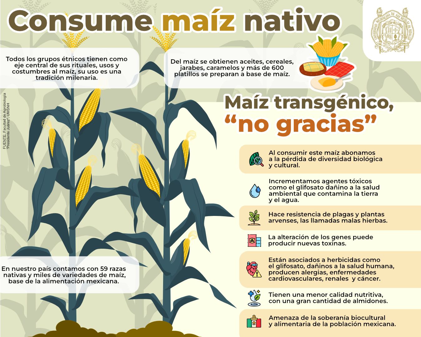 Consume maíz nativo