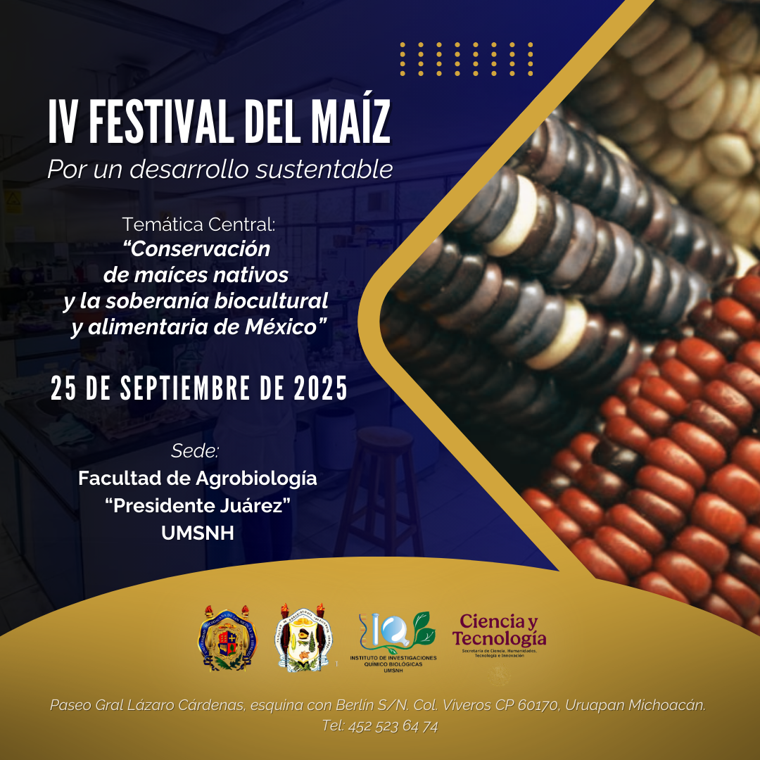 IV FESTIVAL DEL MAÍZ