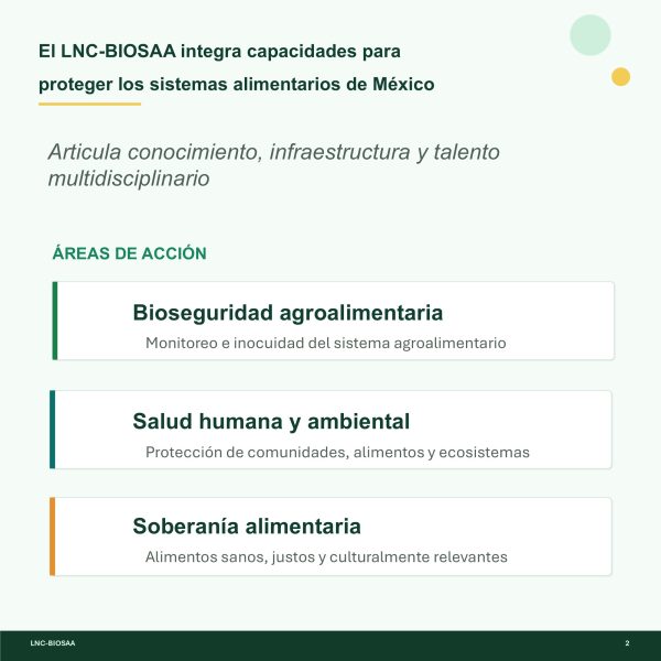Diapositiva2