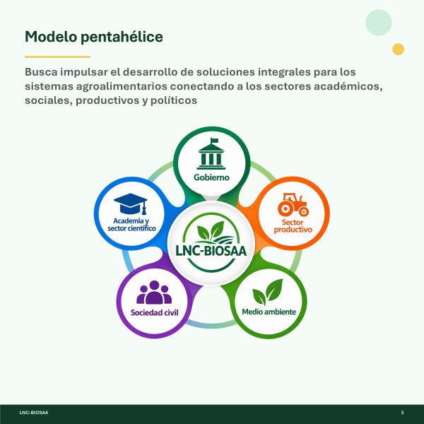 Diapositiva3