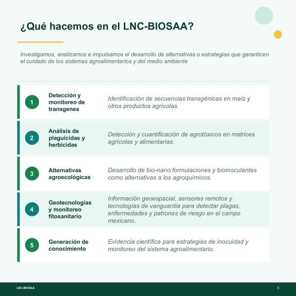 Diapositiva5