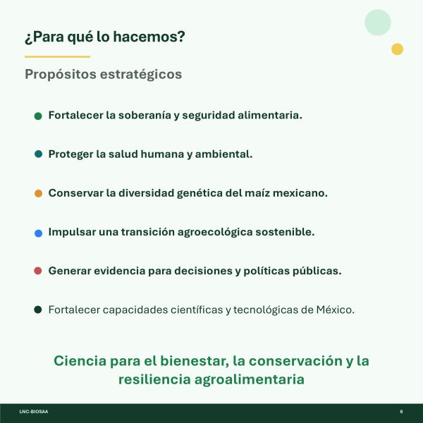 Diapositiva6