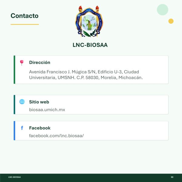Diapositiva8